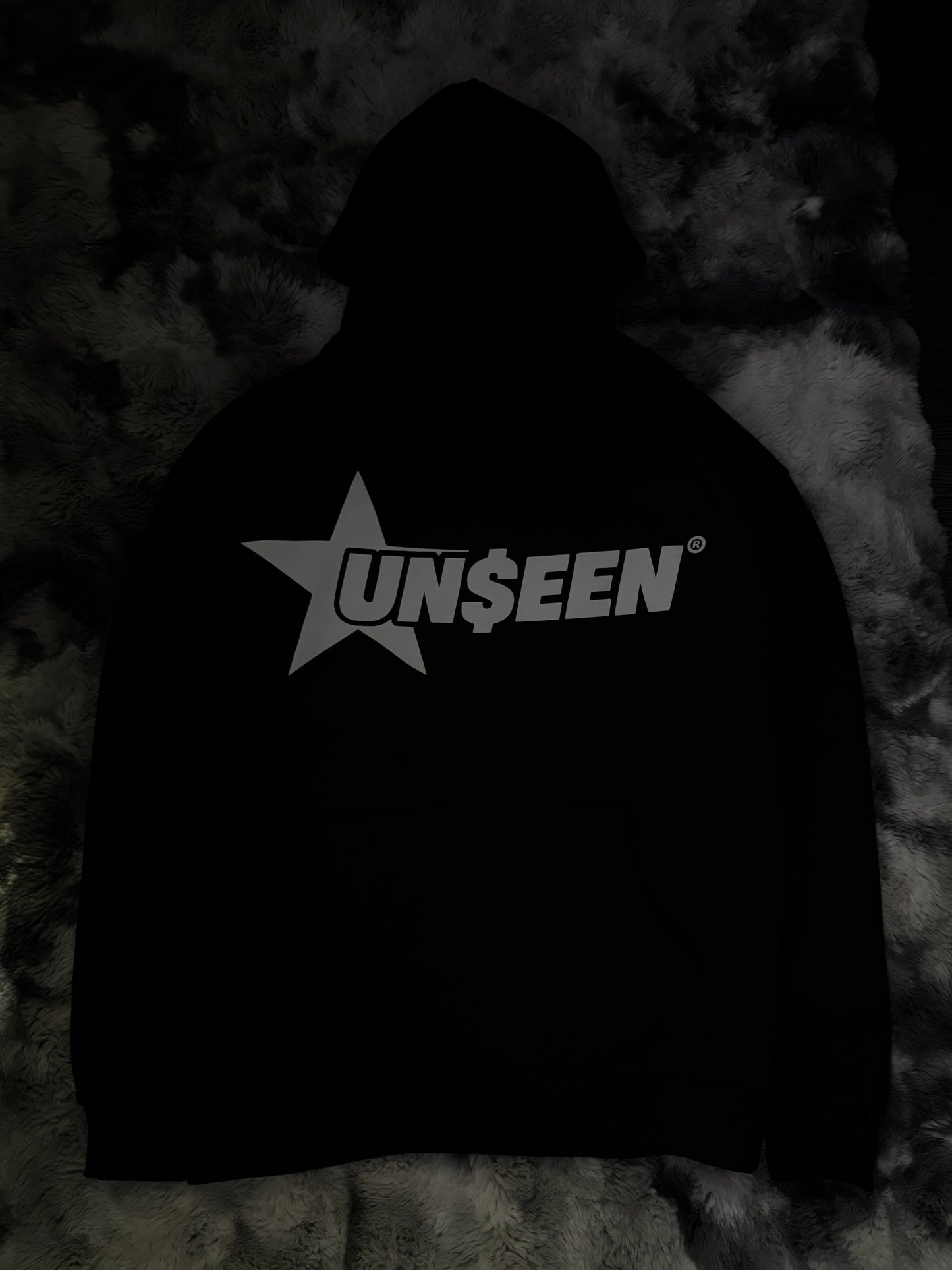 Fly While Unseen Hoodie